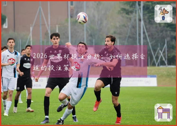2026世界杯投注分析：如何选择合适的投注策略