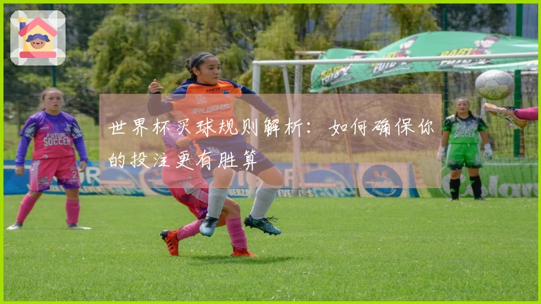 世界杯买球规则解析：如何确保你的投注更有胜算